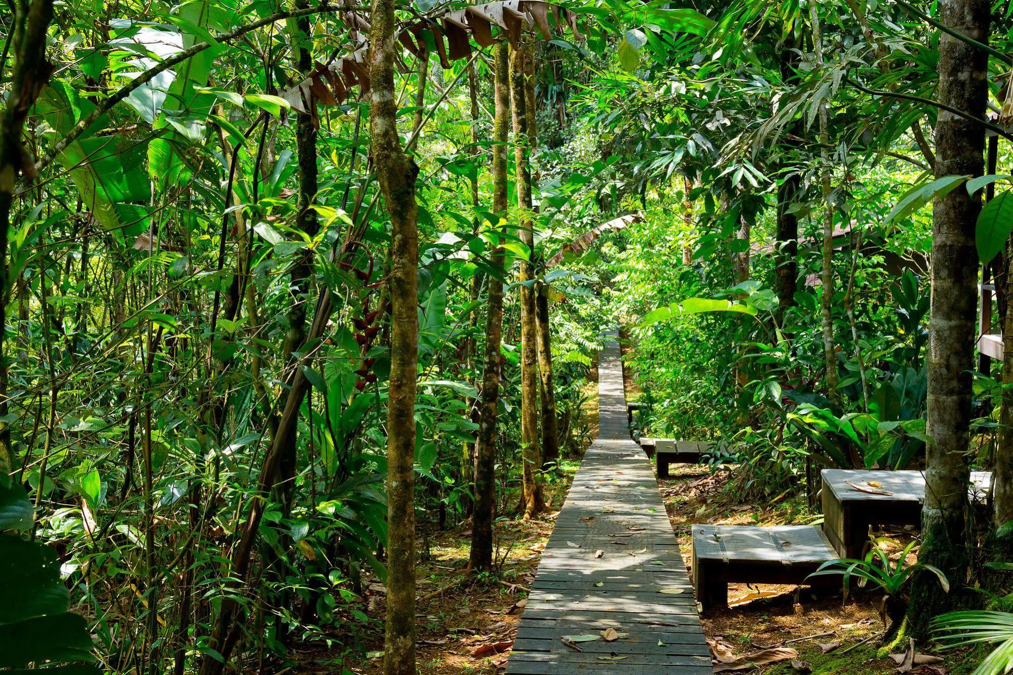 Yatama Rainforest Ecolodge Сарапики Экстерьер фото