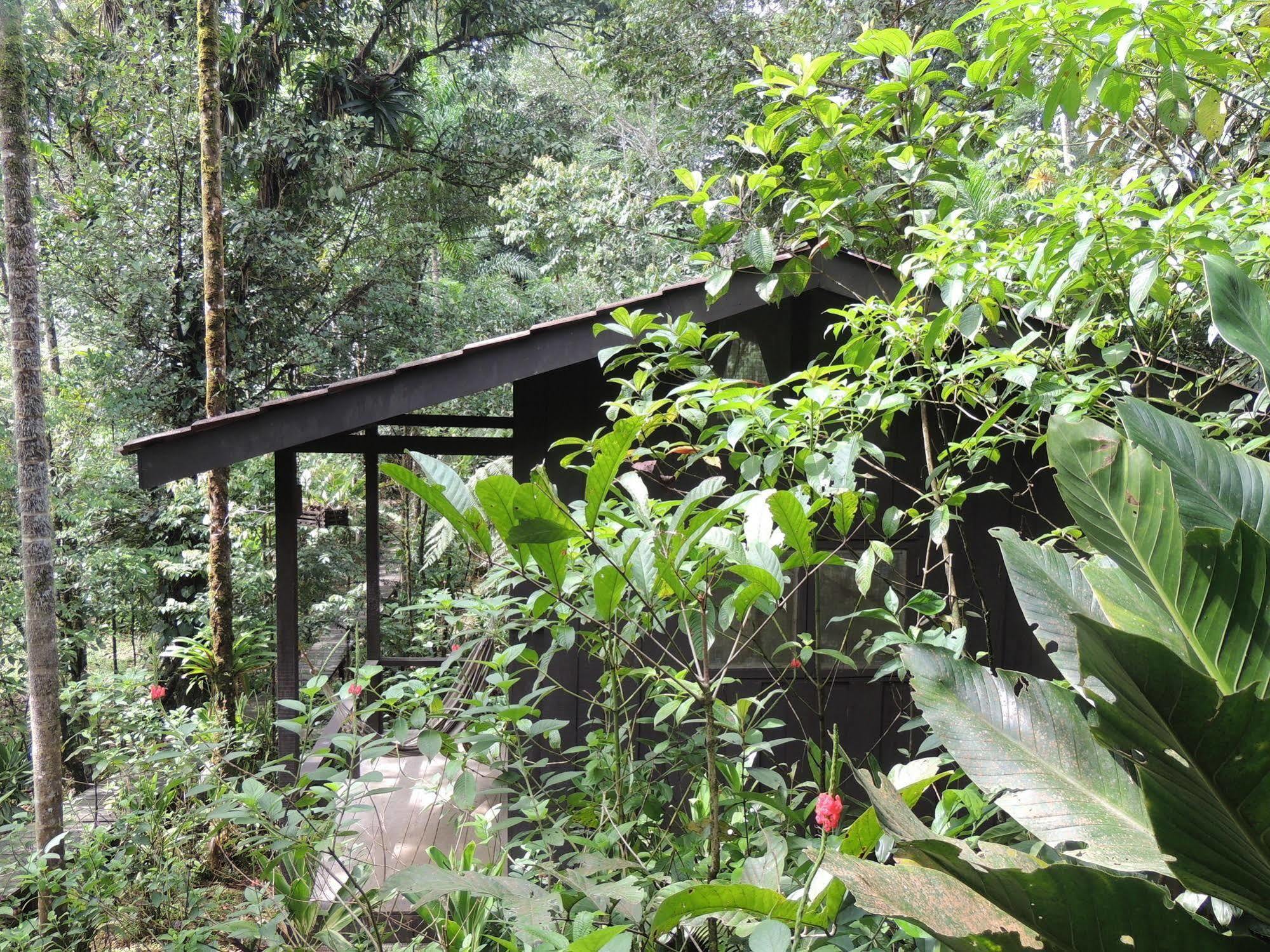 Yatama Rainforest Ecolodge Сарапики Экстерьер фото