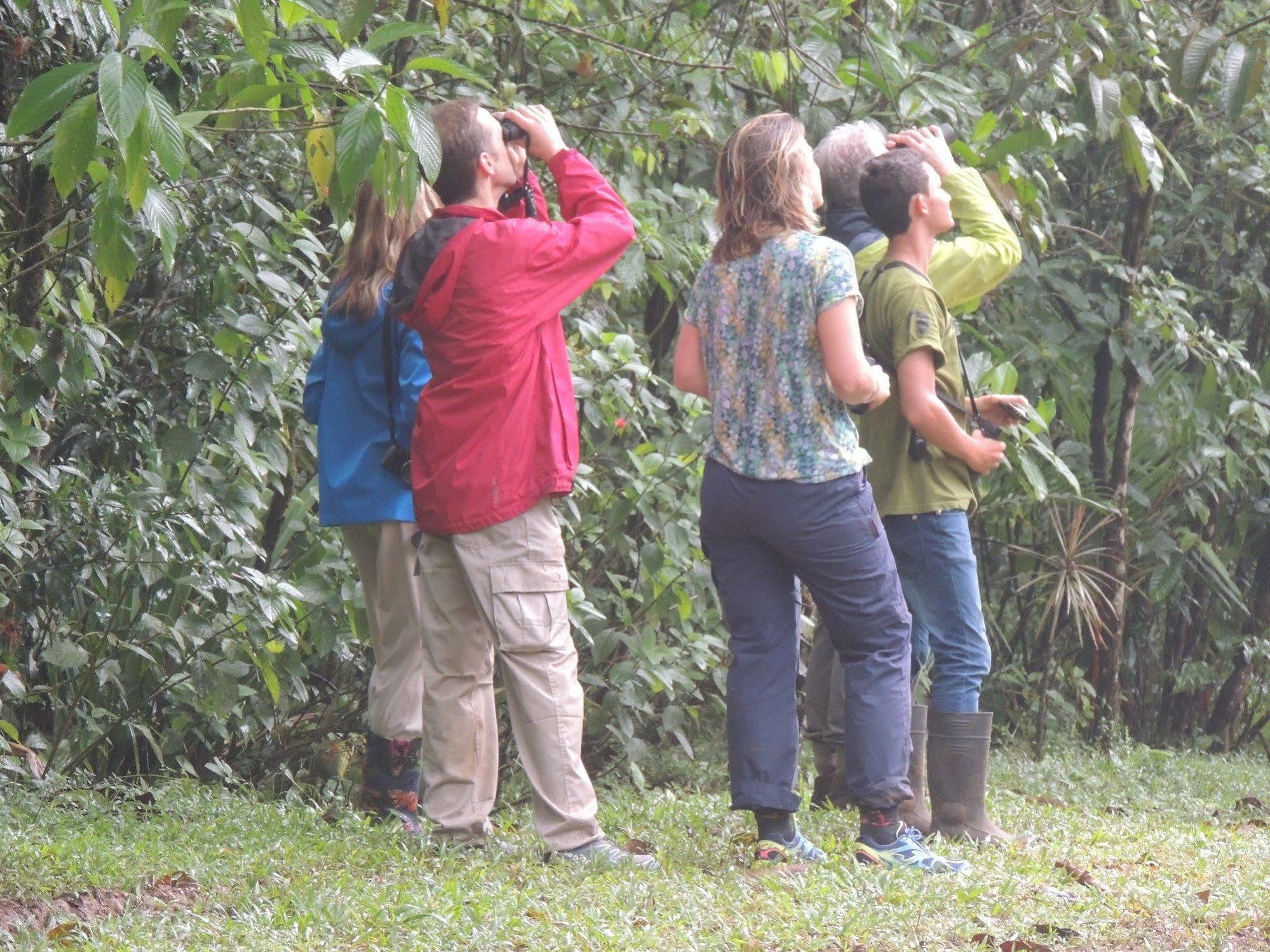 Yatama Rainforest Ecolodge Сарапики Экстерьер фото