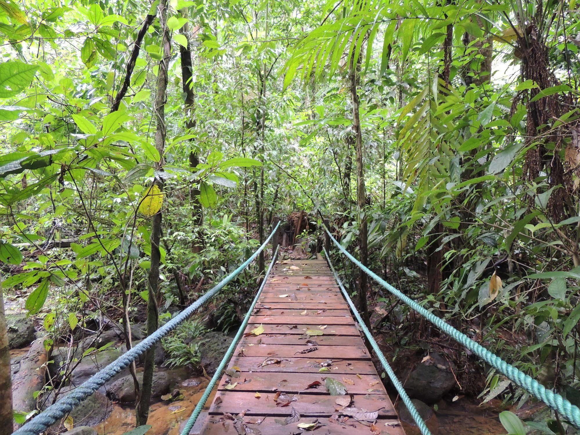 Yatama Rainforest Ecolodge Сарапики Экстерьер фото