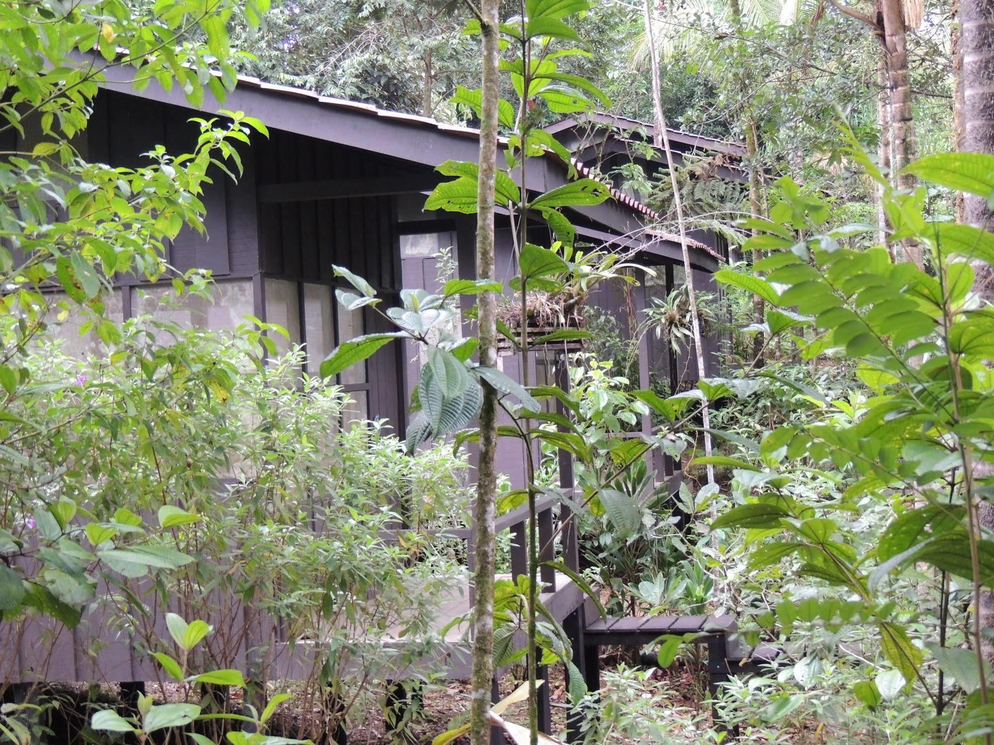 Yatama Rainforest Ecolodge Сарапики Экстерьер фото